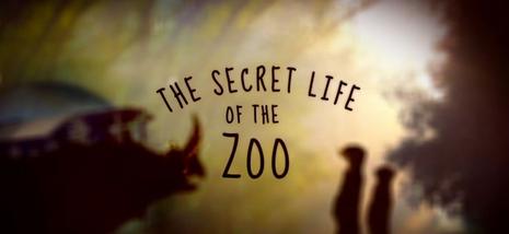 “The Secret Life of the Zoo” Returns to Animal Planet for an All-New Heartwarming Season on Saturday, August 1