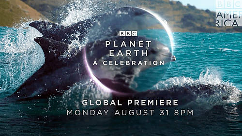 BBC America Brings Harmony to Homes This Summer with “Planet Earth: A Celebration”