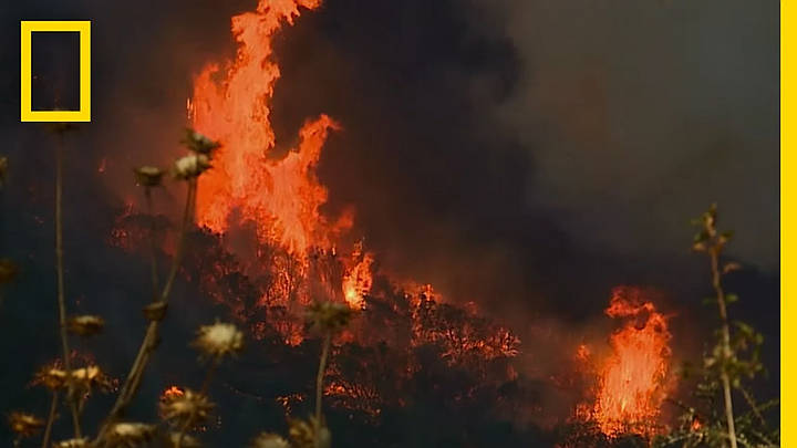 National Geographic Documentary Films Sets Commercial-Free Broadcast Date for Ron Howard’s “Rebuilding Paradise”: Sunday, November 8 at 9PM [VIDEO]