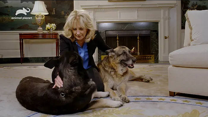 PSA with First Lady Jill Biden (and the 1st Dogs – Champ and Major) to Air on discovery+ During “Puppy Bowl XVII” on Sunday February 7 [VIDEO]