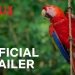 Official Netflix Trailer: “Life in Color with David Attenborough” [VIDEO]