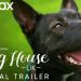 HBO Max Releases Official Trailer and Key Art for Season 2 of the Max Original “The Dog House: UK” [VIDEO]