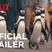 New Netflix Series TODAY! “Penguin Town” Premieres Wednesday, June 16 [VIDEO]