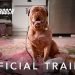 Disney+ Releases the Official Trailer for “Turner & Hooch” a Reimaging of the 1989 Tom Hanks Movie. [VIDEO]