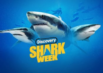 STARTS TODAY! Discovery Channel’s Shark Week 2021 Begins Sunday, July 11 @ 8PM
