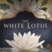 HBO Limited Series “The White Lotus” from Mike White Renewed for a Second Installment