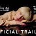 Disney+ Releases Official Trailer for Billie Eilish Cinematic Concert Experience “Happier Than Ever: A Love Letter to Los Angeles” [VIDEO]