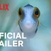 Official Netflix Trailer for “Puff: Wonders of the Reef” Starts Streaming December 16 [VIDEO]