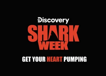 Get Your Heart Pumping! “Shark Week” Begins Sunday, July 24 on Discovery [VIDEO]