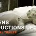 “Aliens Abductions UFOS” – Official Trailer – A Tubi Original [VIDEO]