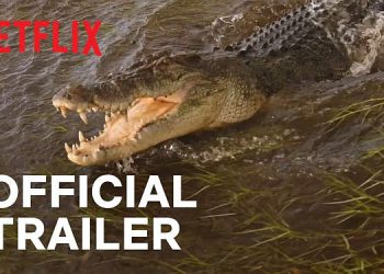 Official Netflix Trailer for “Wild Croc Territory” [VIDEO]