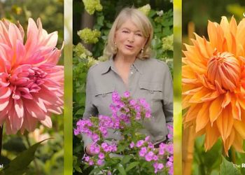 “Martha Gardens” Will Stream on The Roku Channel on October 14 [VIDEO]