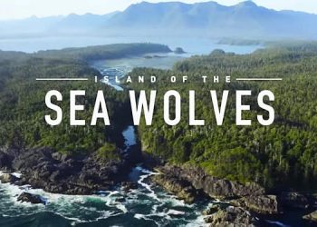 Official Netflix Trailer for “Island of the Sea Wolves” [VIDEO]