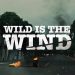 The official Netflix Trailer for “Wild Is the Wind” Starts October 28 [VIDEO]