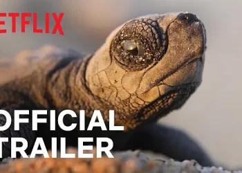 Official Netflix Trailer for “Our Planet II” [VIDEO]