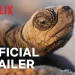 Official Netflix Trailer for “Our Planet II” [VIDEO]