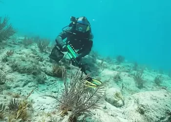 The Weather Channel Television Network Premieres New Exploration Series “Search Party with Brandon Jordan” [VIDEO]