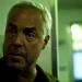 Amazon Freevee Previews “Bosch: Legacy” Season Two Premiere with First-Look Teaser [VIDEO]