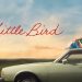 Award-Winning Canadian Drama “Little Bird” Comes to PBS