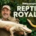 Official Roku Channel Trailer for “Reptile Royalty” [VIDEO]