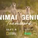 “Animal Genius” Premieres on National Geographic September 8 @ 10PM/9c and Streams Next Day on Hulu