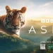 Epic Landmark Natural History Series “Asia” Set to Premiere Saturday, January 25 on BBC America and AMC+ [VIDEO]