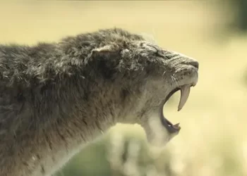 Apple TV+ Announces “Prehistoric Planet: Ice Age”