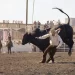 The CW Network Strikes Multi-Year Agreement with Professional Bull Riders to Broadcast Saturday and Sunday Teams League Events