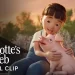 All New “Charlotte’s Web” Three-Part Special to Premiere on HBO Max October 2 [VIDEO]
