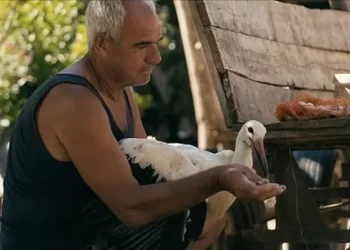 National Geographic Documentary Films Acquires Venice Film Festival Award-Winner “The Tale of Silyan”