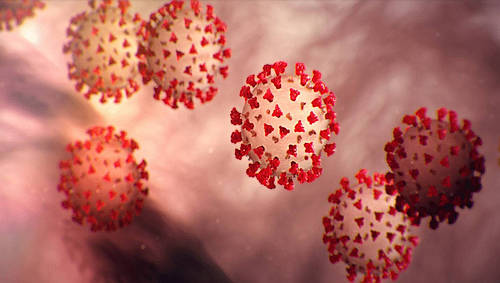 Discovery Sets Lineup of Special COVID-19 Programming Featuring Familiar Faces and Sights from Around the World