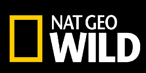 Nat Geo WILD Announces Its 2021-2022 Upfront Slate with Six Series ...