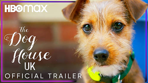 “The Dog House: UK” Debuts Thursday, July 23 on HBO Max [VIDEO]