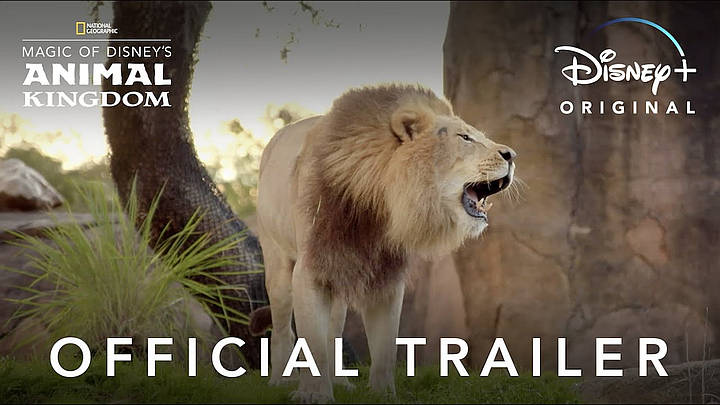 “Magic of Disney’s Animal Kingdom” Debuts Friday, September 25 on Disney+ [VIDEO]