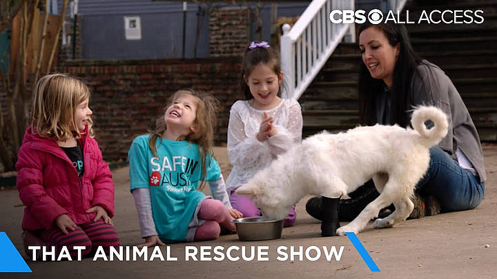 New Docuseries “That Animal Rescue Show” All 10 Episodes Will Be Available to Binge Thursday, October 29 on CBS All Access [VIDEO]