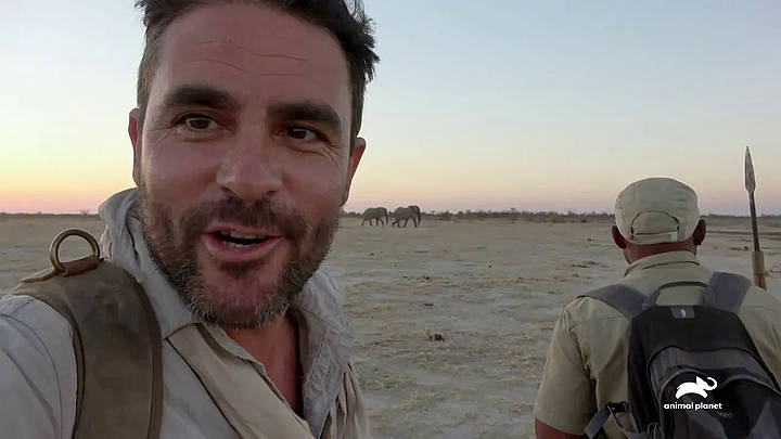 Animal Planet Premieres Three-Part Television Event “Walking with Elephants” on December 15 [VIDEO]