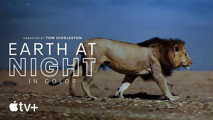 Apple TV+ Unveils Trailer for the 12-Part Series “Earth at Night in Color” Which Debuts on December 4 [VIDEO]