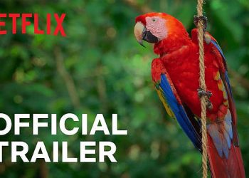 Official Netflix Trailer: “Life in Color with David Attenborough” [VIDEO]