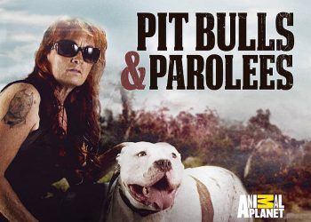 Fan-Favorite Series “Pit Bulls & Parolees” Heads to Discovery Channel and Streams on discovery+ Beginning April 3, 2021 @ 8PM