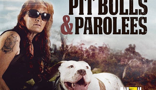 Fan-Favorite Series “Pit Bulls & Parolees” Heads to Discovery Channel and Streams on discovery+ Beginning April 3, 2021 @ 8PM