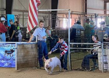 Squeal the Competition! All-New discovery+ Series “Pig Royalty” Dives Into the Extreme World of Competitive Pig Showing.