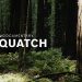 New Trailer: Hulu Original Docuseries “Sasquatch” Premieres on Tuesday, April 20 [VIDEO]