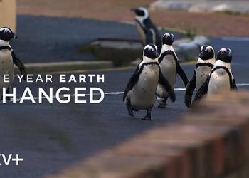 Apple TV+ Announces “The Year Earth Changed,” An Uplifting Wildlife Documentary Special Narrated by David Attenborough, Heralding Earth Day 2021 [VIDEO]