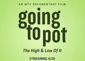 Official Paramount+ Trailer: “Going to Pot” The High & Low, The 411 on 420 [VIDEO]