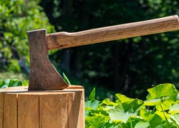 ABC Cancels Five Series See what Won’t be Returning this Fall