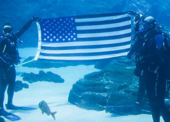 Discovery and Georgia Aquarium Enter Into All-New Multi-Platform Content Partnership to Document Animal Experiences and Global Conservation Efforts