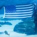 Discovery and Georgia Aquarium Enter Into All-New Multi-Platform Content Partnership to Document Animal Experiences and Global Conservation Efforts