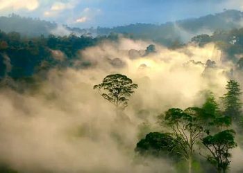 BAFTA Award-Winning Actress Helena Bonham Carter to Narrate BBC America’s New, Original Natural History Series “Eden: Untamed Planet”