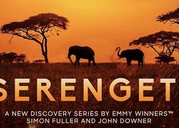 Discovery’s Emmy Nominated Series “Serengeti” Returns for Second Season July 18 on Discovery and discovery+