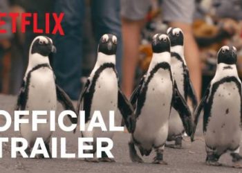 New Netflix Series TODAY! “Penguin Town” Premieres Wednesday, June 16 [VIDEO]